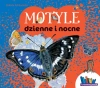 Motyle dzienne i nocne - zdjęcie