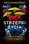 Strzępki życia - zdjęcie
