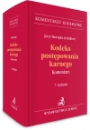Kodeks postępowania karnego. Komentarz - zdjęcie