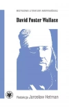 David Foster Wallace - zdjęcie
