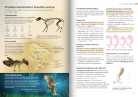 Nowa Biologia na czasie 3. Liceum i technikum. Podręcznik. Zakres podstawowy. Nowość 2026, zdjęcie 6