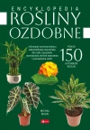 Rośliny ozdobne - zdjęcie