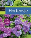 Hortensje - zdjęcie