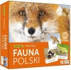 Fauna Polski memory - zdjęcie