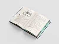 Harry Potter i Kamień Filozoficzny. Edycja limitowana (barwione brzegi), zdjęcie 7