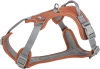 Premium Active, szelki, dla psa, rdzawe, M: 49-69 cm/20 mm - zdjęcie
