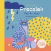Precelek z Kociej Szajki. 2. Precelek i letnia burza - zdjęcie