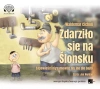 Zdarziło sie na Ślonsku. Łopowieści niysamowite niy ino dlo bajtli. Audiobook - zdjęcie