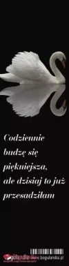 Zakładka do książki. Codziennie budzę się piękniejsza... - zdjęcie