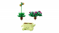 LEGO Botanicals Bujające się roślinki 11506, zdjęcie 6
