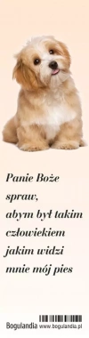 Zakładka do książki - Panie Boże spraw... - zdjęcie