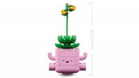 LEGO Botanicals Bujające się roślinki 11506, zdjęcie 7