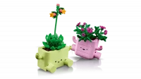 LEGO Botanicals Bujające się roślinki 11506, zdjęcie 5