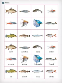 Ale to ciekawe! Wyprawka. Klasa 2, zdjęcie 2