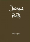 Pajęczyna - zdjęcie