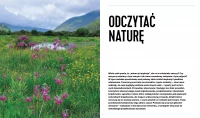Projektowanie ogrodów naturalistycznych. Podstawowe zasady, zdjęcie 3