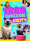 1000 naklejek. Koty. National Geographic Kids - zdjęcie
