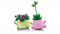 LEGO Botanicals Bujające się roślinki 11506, zdjęcie 3