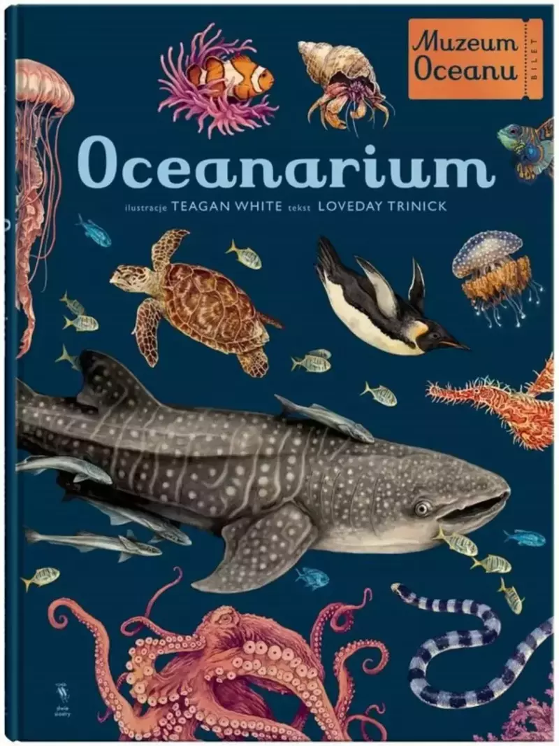 Muzeum Oceanu. Oceanarium Muzeum Oceanu. Oceanarium