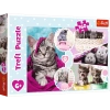 Puzzle 160 elementów. Urocze kotki - zdjęcie