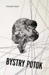 Bystry potok Bystry potok - zdjęcie