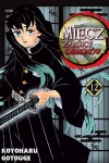 Miecz zabójcy demonów. Tom 12 - zdjęcie