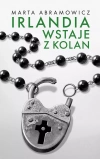 Irlandia wstaje z kolan - zdjęcie