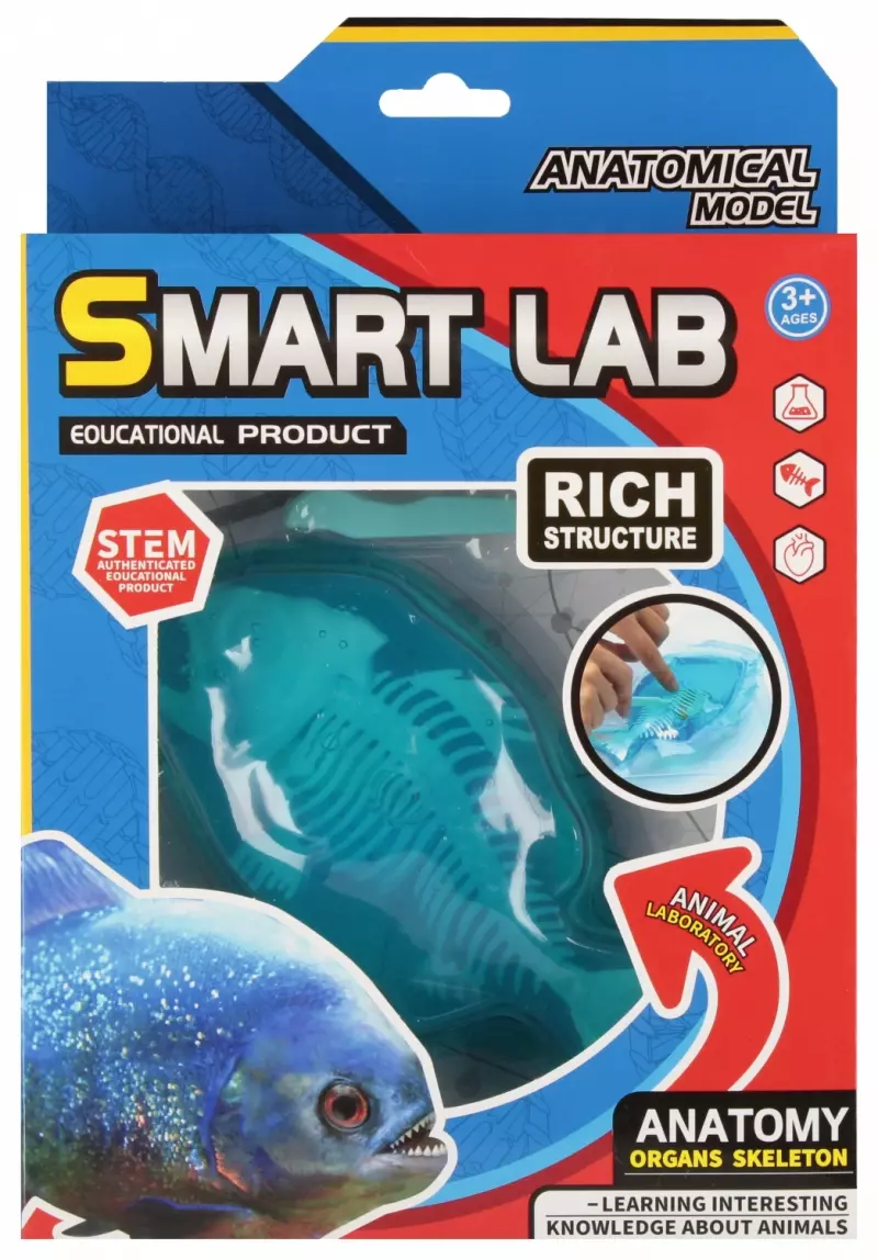 Zestaw Naukowca Anatomia Ryba Mega Creative 567933