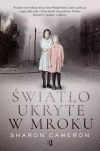 Światło ukryte w mroku - zdjęcie