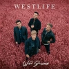 Wild Dreams. CD - zdjęcie