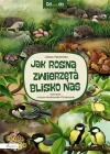 Od... do... Jak rosną zwierzęta blisko nas - zdjęcie