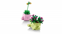 LEGO Botanicals Bujające się roślinki 11506, zdjęcie 4
