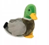 Maskotka Pluszowa Dzika Kaczka kaczuszka 18 cm Ptak Pluszak - zdjęcie
