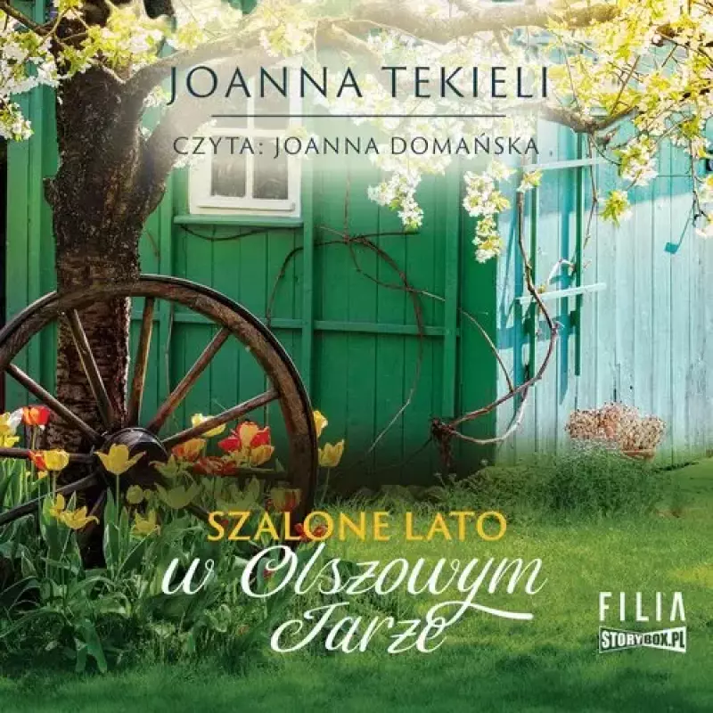Szalone lato w Olszowym Jarze. Audiobook