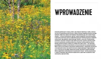 Projektowanie ogrodów naturalistycznych. Podstawowe zasady, zdjęcie 6