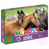 MEMOSY - KONIE - zdjęcie