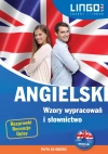 Angielski. Wzory wypracowań i słownictwo. Książka + płyta CD - zdjęcie