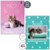 Zeszyt A4 32k. 3-linie kolor 90g BF Cats, Bee-Bee - zdjęcie