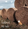 Gabryś na wsi - zdjęcie