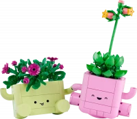 LEGO Botanicals Bujające się roślinki 11506, zdjęcie 2