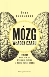 Mózg, władca czasu. Dlaczego dzień może być krótszy niż godzina, a minuta dłuższa od dnia - zdjęcie