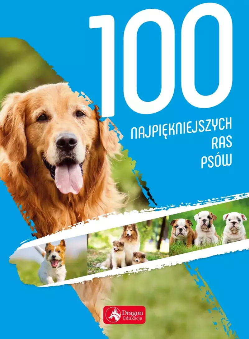 100-najpi-kniejszych-ras-ps-w-agnieszka-nojszewska