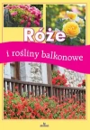 Róże i rośliny balkonowe - zdjęcie