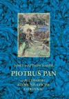 Piotruś Pan, czyli chłopiec, który nie chciał dorosnąć - zdjęcie