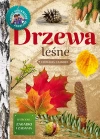 Drzewa leśne - zdjęcie