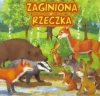 Zaginiona rzeczka - zdjęcie