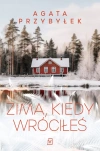 Zima, kiedy wróciłeś - zdjęcie