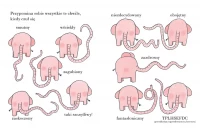 Pomelo wspomina, zdjęcie 2