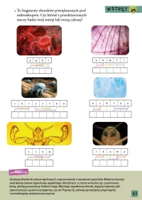 MAM eMOCje. Wiek 5-6 lat, zdjęcie 3