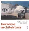 Korzenie architektury - zdjęcie